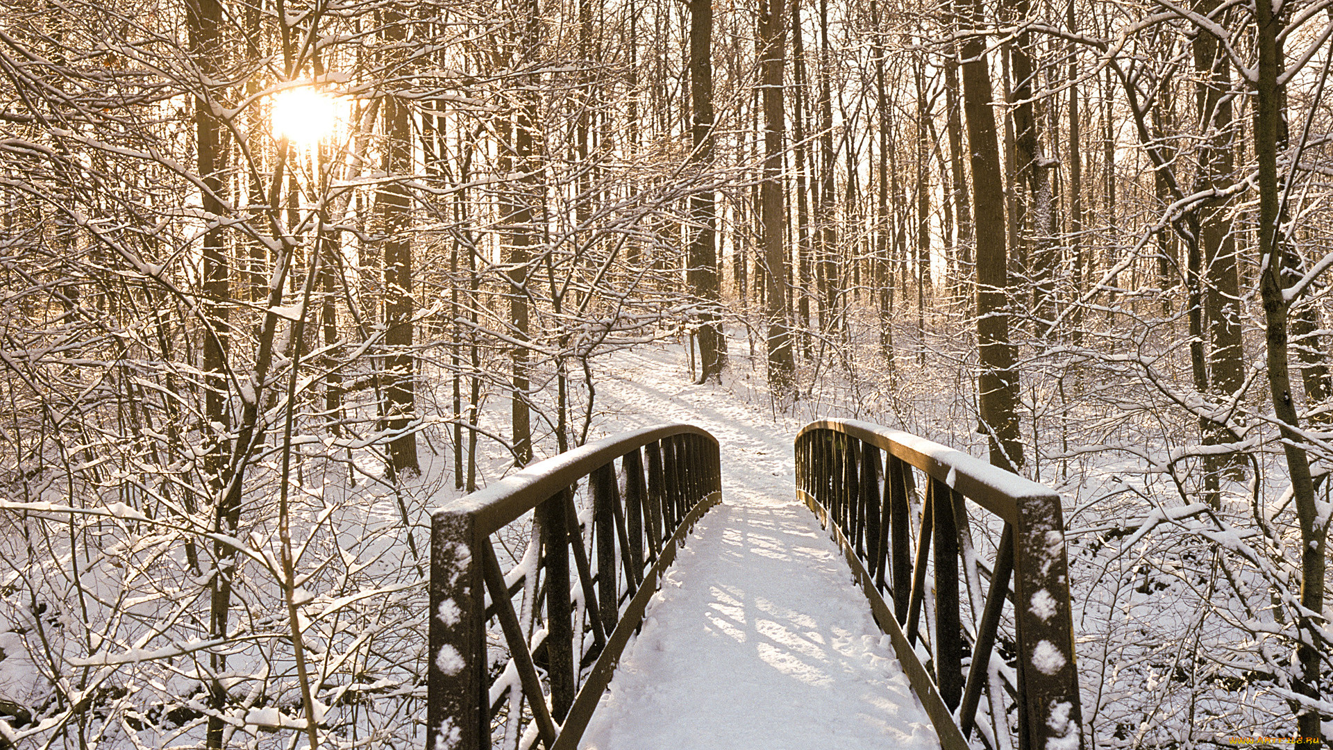 Мост в зимнем лесу